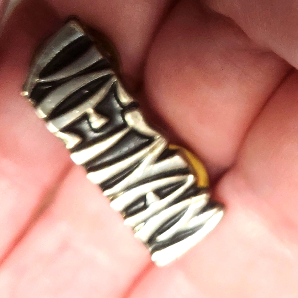 Silver Vietnam Pin